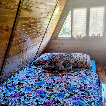 山林小屋 Letniskowy *