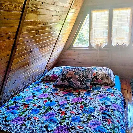 Lodge Letniskowy *